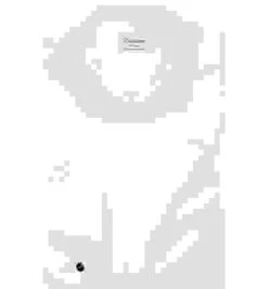 Stenströms Hemd, Slimline, Twill, Creme -Maenner Mode Haus  230446 norm 1