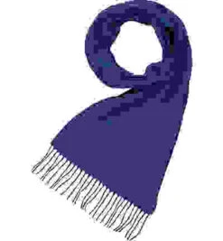 Eagle Schal, Reines Kaschmir, Royal -Maenner Mode Haus  252993 norm 1