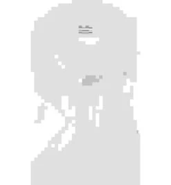 Stenströms Kurzarmhemd, Fitted Body, Twill, Weiß -Maenner Mode Haus  309306 norm 1