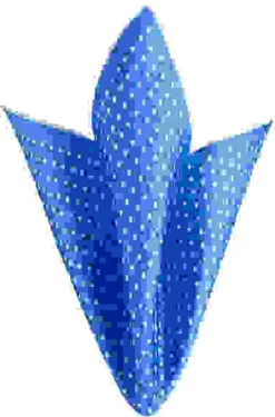 Einstecktuch, Seide, Hellblau Gepunktet -Maenner Mode Haus  336022 norm 1