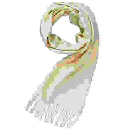 Eagle Schal, Reines Kaschmir, Hellbeige -Maenner Mode Haus  394533 norm 1