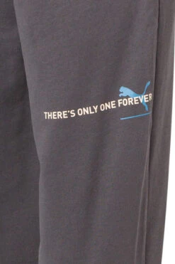 Puma Sweatpants, Baumwolle, Dunkelgrau -Maenner Mode Haus  412189 norm4