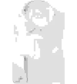 Smokinghemd, Regular Fit, Baumwolle, Weiß -Maenner Mode Haus  7513 norm 1